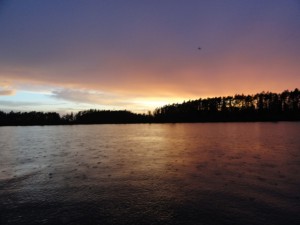 DSC02917.JPG