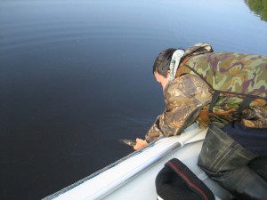 IMG_1310.JPG