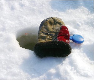 лапа.jpg