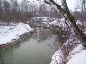 100_2817.jpg