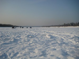 IMG_2879.JPG