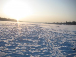 IMG_2894.JPG