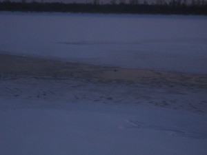 IMG_2904.JPG