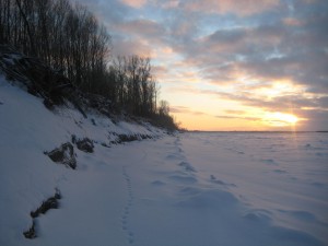 IMG_2961.JPG