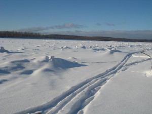 IMG_2967.JPG