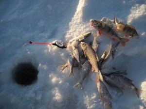 зима 2012 февраль 18.jpg