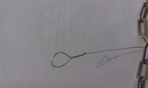 IMAG0114_thumb.jpg