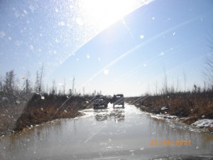 IMGP7442_новый размер.JPG