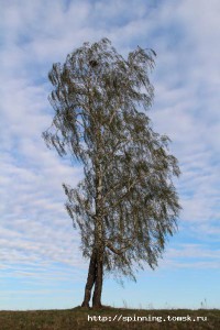 IMG_1110_.jpg