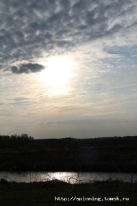 IMG_1134_.jpg