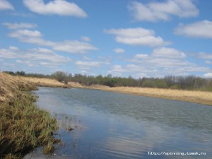 IMG_3631.JPG