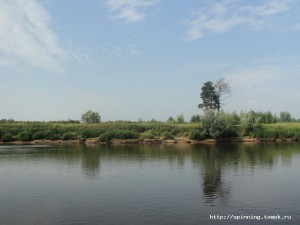 DSC01142.JPG