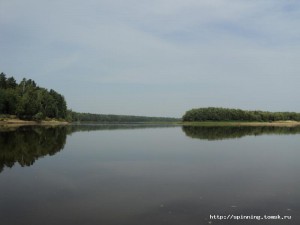 DSC01332.JPG