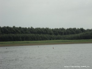 DSC01238.JPG