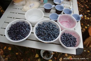 IMG_0558.JPG