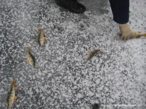 IMG_5457.JPG