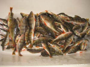 IMG_5469.JPG