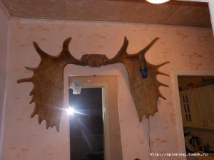 DSCN0715.JPG