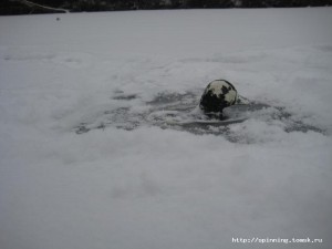 IMG_5489.JPG
