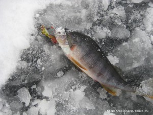 IMG_5505.JPG