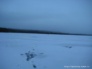IMG_5520.JPG