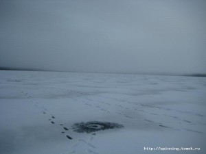 IMG_5525.JPG