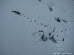 IMG_5527.JPG