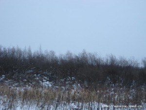 IMG_5632.JPG