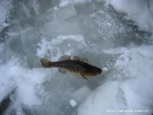 IMG_5641.JPG