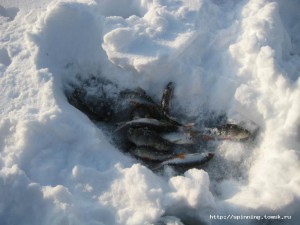 IMG_5645.JPG