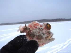 PB230387www.jpg