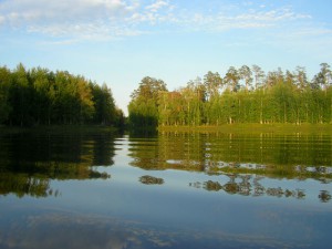 getImage (2).jpg