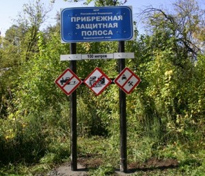 294.jpg