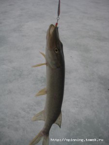 IMG_6694.jpg