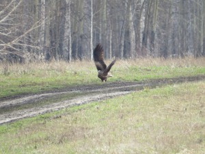 IMG_0282.JPG