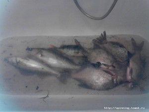 IMG_20130507_170742.jpg
