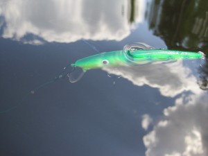IMG_5878.jpg