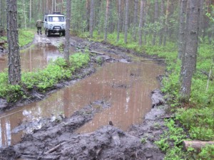 IMG_5903.jpg