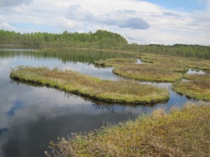 IMG_5923.jpg