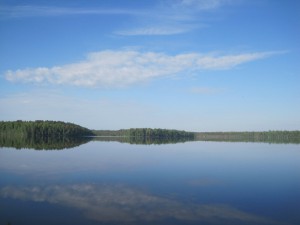 IMG_5929.jpg