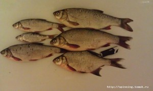 IMAG0499.jpg