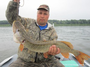 IMG_1786.jpg