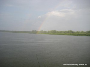 IMG_8262.jpg