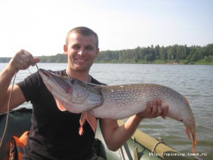IMG_8313.jpg