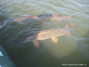 IMG_8315.jpg