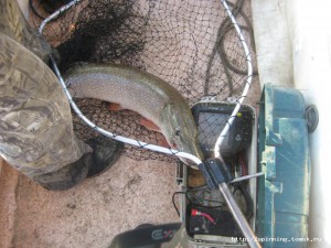 IMG_8370.jpg