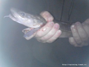 IMG_20130820_212737.jpg