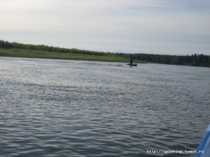 IMG_8609.JPG