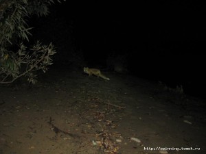 IMG_8622.JPG
