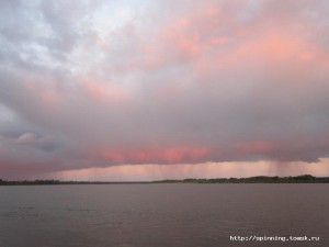 IMG_1878.jpg